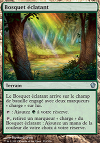 Bosquet clatant - 