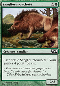 Sanglier mouchet - 