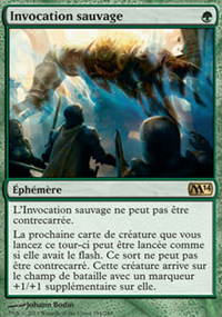 Invocation sauvage - 