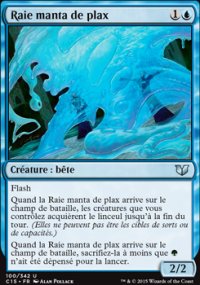 Raie manta de plax - 