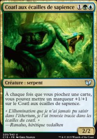 Coatl aux cailles de sapience - 