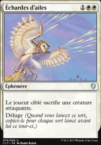 chardes d'ailes - 