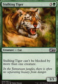 Tigre en chasse - Welcome Deck 2017
