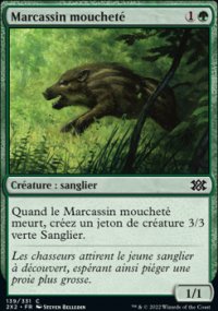 Marcassin mouchet - 