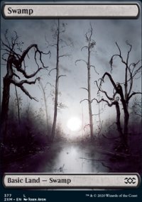 Swamp - 