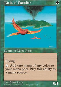 Birds of Paradise - 5th Edition