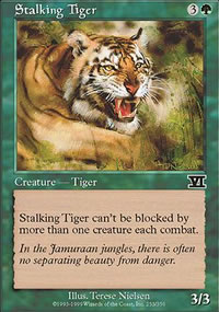 Tigre en chasse - 6th Edition