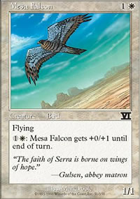 Faucon de Mesa - 6th Edition