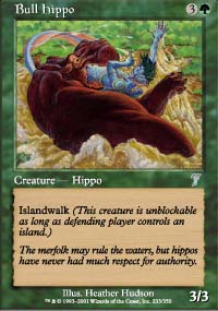 Hippopotame mle - 7th Edition