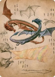 Ran et Shaw - Illustration - Avatar: The Last Airbender - Art Series