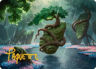 Bosquet pluvieux glissant - Illustration - Lorwyn Eclipsed - Art Series