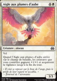 Aigle aux plumes d'aube - 