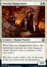 Veteran Dungeoneer - 