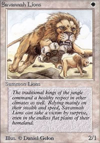 Lions des savanes - Limited (Alpha)