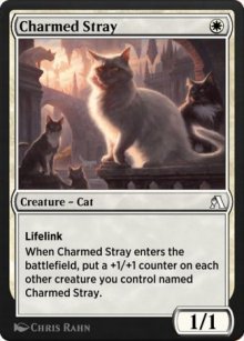 Charmed Stray - Arena Beginner Set