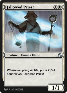 Hallowed Priest - Arena Beginner Set