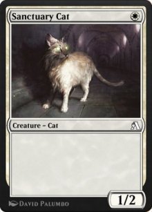 Sanctuary Cat - Arena Beginner Set