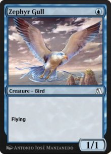 Zephyr Gull - Arena Beginner Set