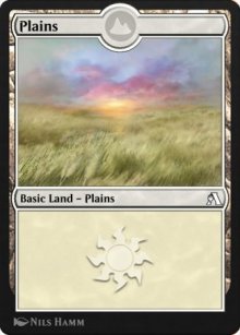 Plains - Arena Beginner Set