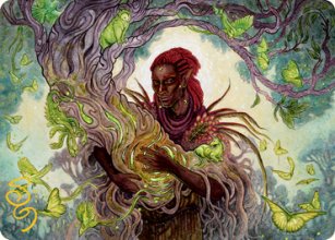 Circle of Dreams Druid - Art - 