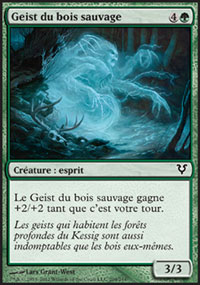 Geist du bois sauvage - 