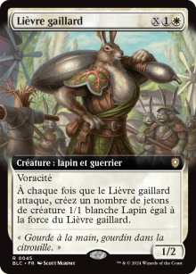 Livre gaillard - Bloomburrow Commander Decks