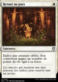 Retour au pays - Bloomburrow Commander Decks