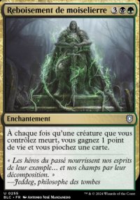 Reboisement de moiselierre - Bloomburrow Commander Decks