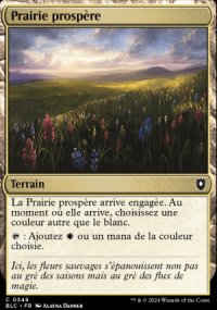 Prairie prospre - Bloomburrow Commander Decks