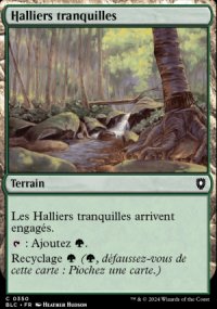 Halliers tranquilles - Bloomburrow Commander Decks