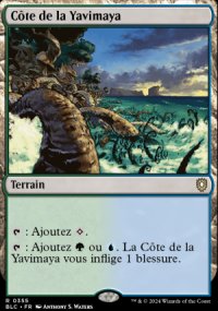 Cte de la Yavimaya - Bloomburrow Commander Decks