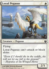 Loyal Pegasus - 