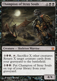 Champion of Stray Souls - 