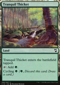 Tranquil Thicket - 