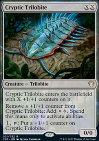 Cryptic Trilobite - 