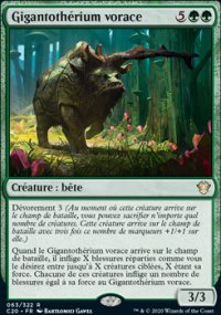 Gigantothrium vorace - 