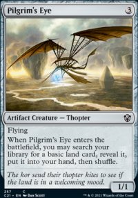 Pilgrim's Eye - 