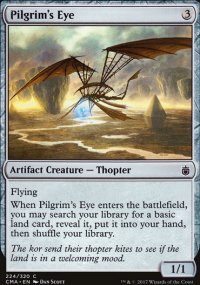 Pilgrim's Eye - 