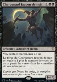 Charognard faucon de nuit - 