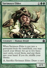 Vieux sage de la Yavimaya - MTG Commander