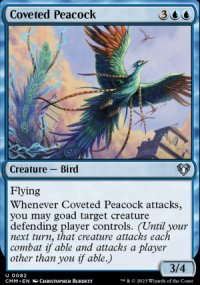 Coveted Peacock - 