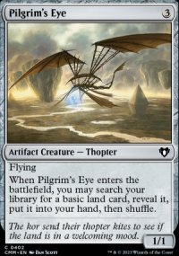 Pilgrim's Eye - 