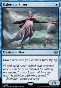 Galerider Sliver - 