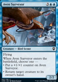 Aven Surveyor - 