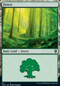 Forest - 