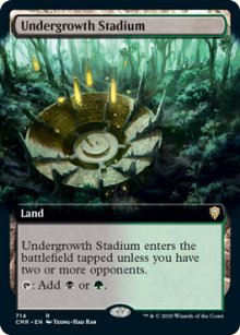 Undergrowth Stadium - 