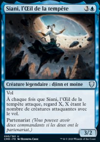 Siani, l'il de la tempte - 