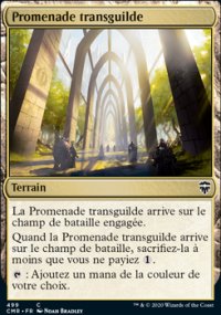 Promenade transguilde - 