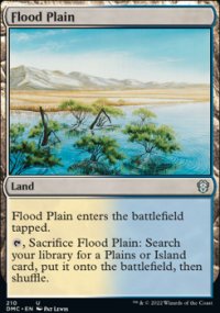 Flood Plain - 