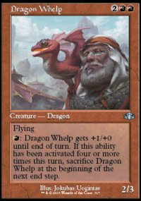 Dragon Whelp - 